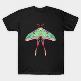 Chinese Moon Moth T-Shirt